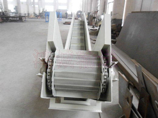 網帶91网站看片免费